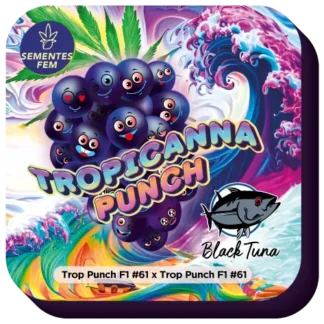 Semente de Tropicana Punch - Feminizadas - Black Tuna Seeds