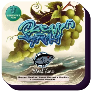 Semente de Ocean Spray - Feminizada - Black Tuna Seeds