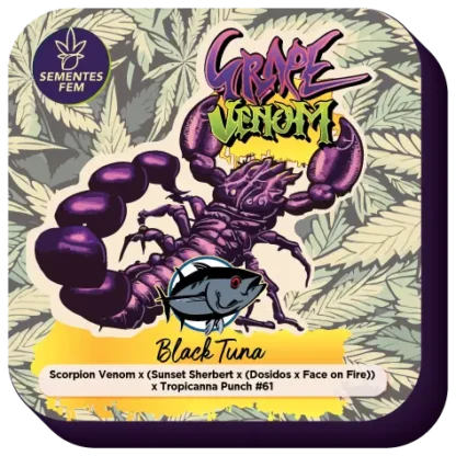 Semente de Grape Venom - Feminizadas - Black Tuna Seeds