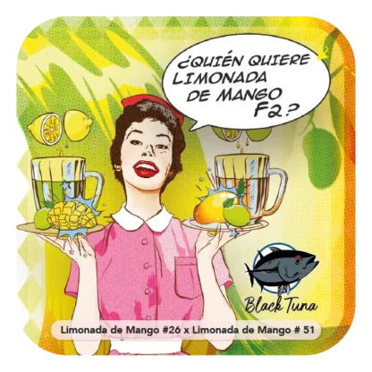 Semente de Limonada de Mango - Feminizadas - Black Tuna Seeds