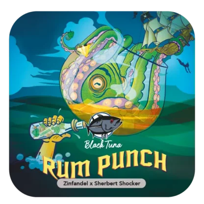 Semente de Rum Punch - Feminizadas - Black Tuna Seeds
